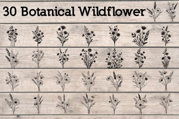 Botanical Wildflower Bundle